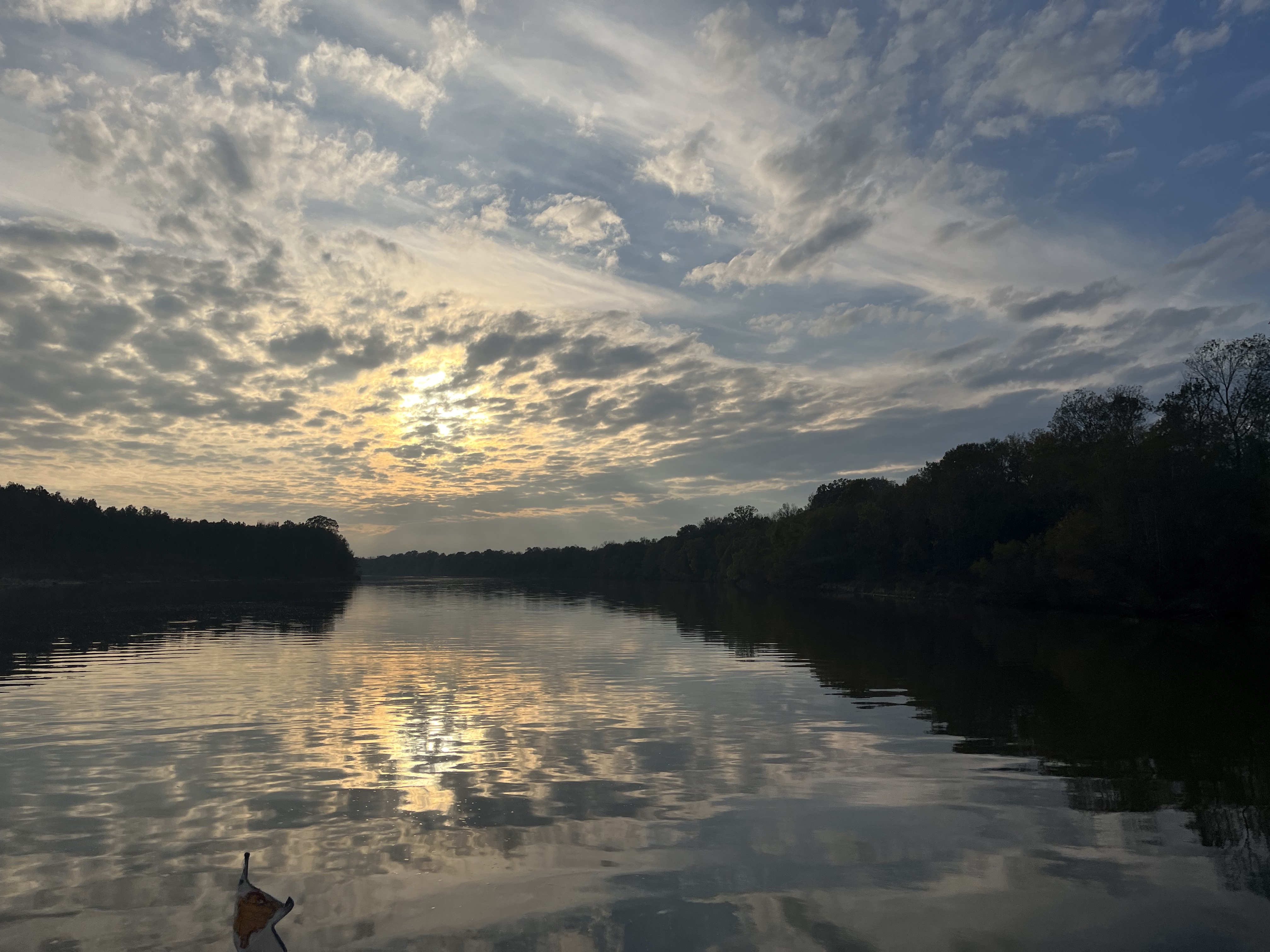 Bashi Creek Anchorage - Tombigbee River, AL